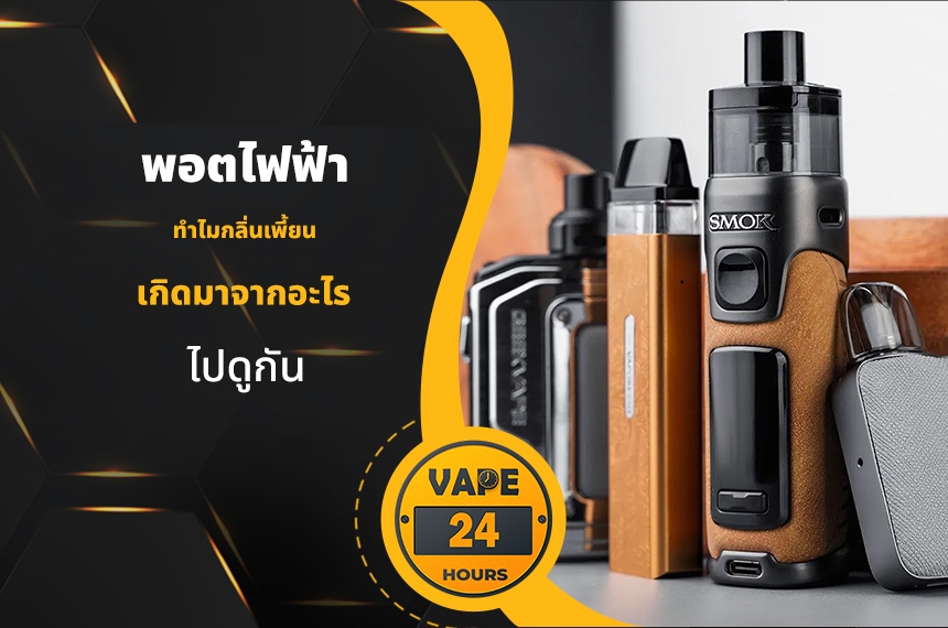 พอตไฟฟ้า ทำไมกลิ่นเพี้ยน