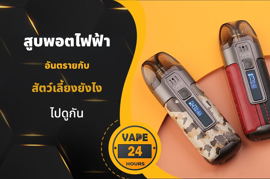 สูบพอตไฟฟ้า อันตรายกับสัตว์ไหม